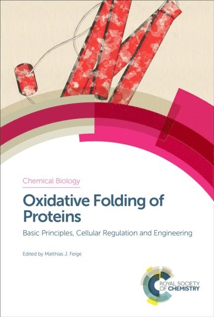 Matthias J Feige - Oxidative Folding of Proteins, E-bok