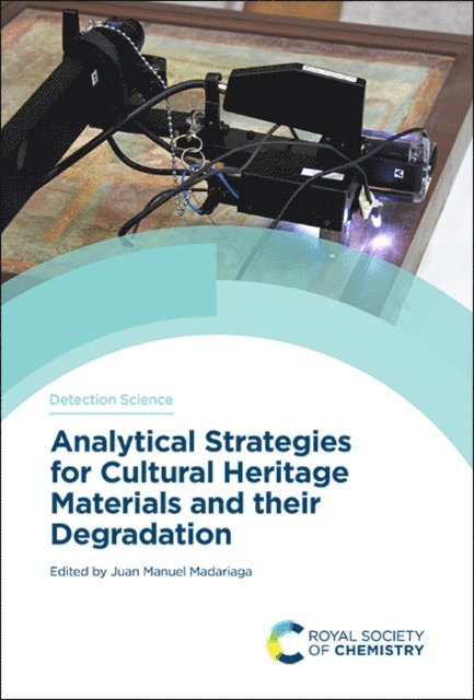 Juan Manuel Madariaga - Analytical Strategies for Cultural Heritage Materials and their Degradation, E-bok