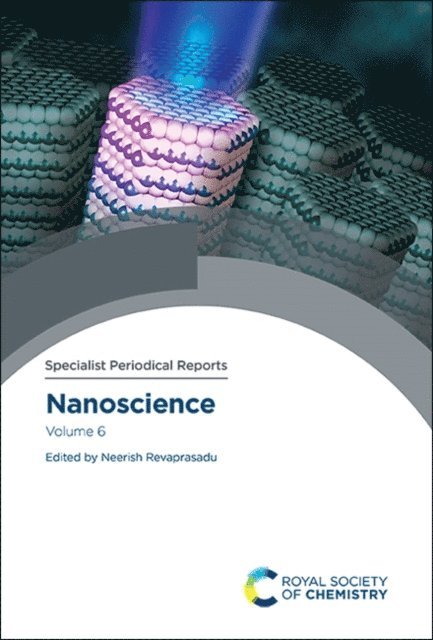 Neerish Revaprasadu - Nanoscience, E-bok