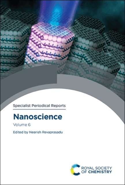 Neerish Revaprasadu - Nanoscience, E-bok