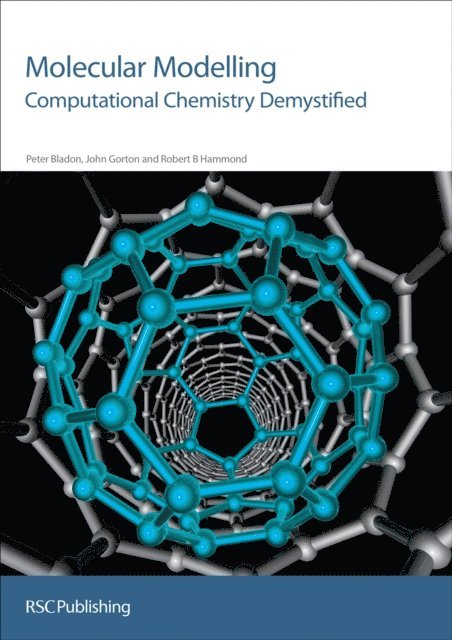 Robert B Hammond, John Gorton, Peter Bladon - Molecular Modelling, E-bok