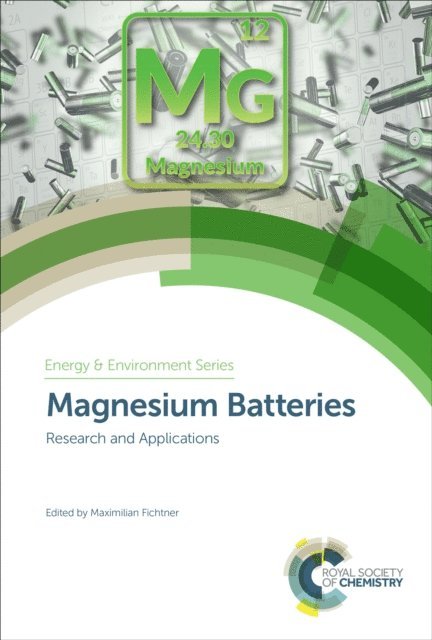 Maximilian Fichtner - Magnesium Batteries, E-bok