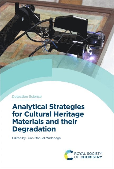 Juan Manuel Madariaga - Analytical Strategies for Cultural Heritage Materials and their Degradation, E-bok