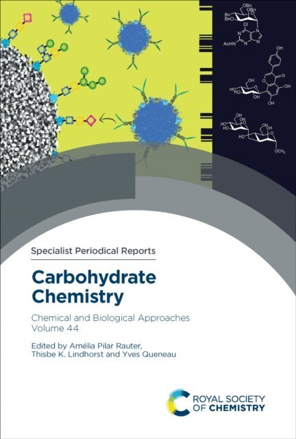 Yves Queneau, Thisbe K Lindhorst, Amelia Pilar Rauter - Carbohydrate Chemistry, E-bok