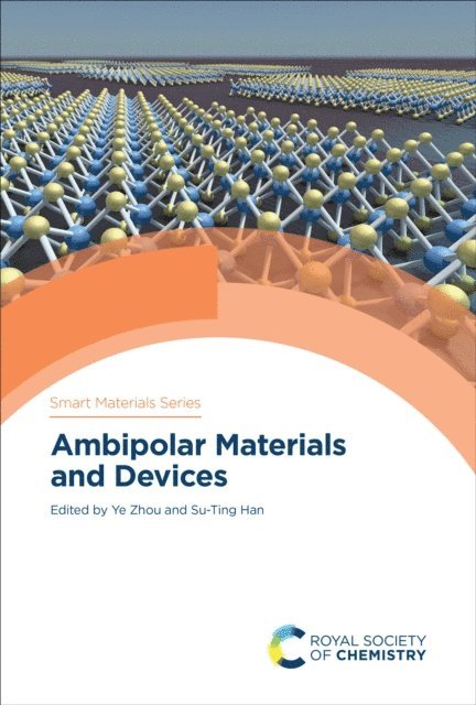Su-Ting Han, Ye Zhou - Ambipolar Materials and Devices, E-bok