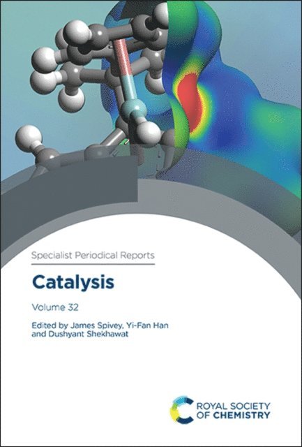Dushyant Shekhawat, Yi-Fan Han, James J Spivey - Catalysis, E-bok