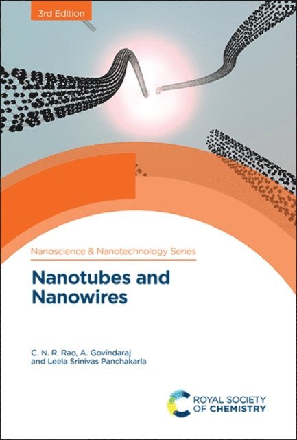 Leela Srinivas Panchakarla, A Govindaraj, C N Ram Rao - Nanotubes and Nanowires, E-bok