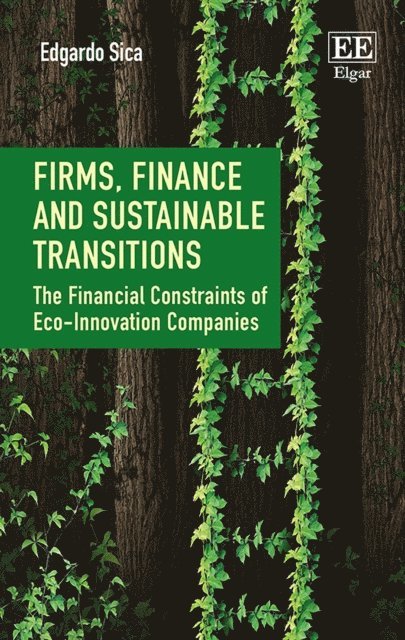 Edgardo Sica - Firms, Finance and Sustainable Transitions, E-bok