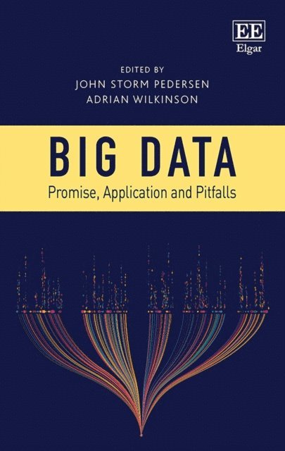 Adrian Wilkinson, John Storm Pedersen - Big Data, E-bok