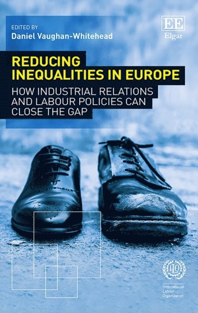 Daniel Vaughan-Whitehead - Reducing Inequalities in Europe, E-bok