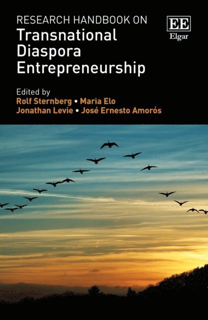 Jose E. Amoros, Jonathan Levie, Maria Elo, Rolf Sternberg - Research Handbook on Transnational Diaspora Entrepreneurship, E-bok
