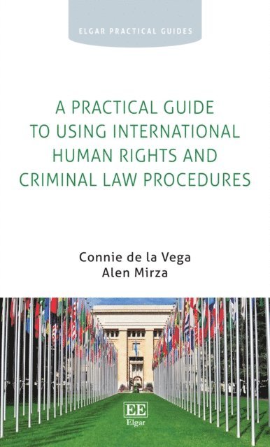 Alen Mirza, Connie de la Vega - Practical Guide to Using International Human Rights and Criminal Law Procedures, E-bok