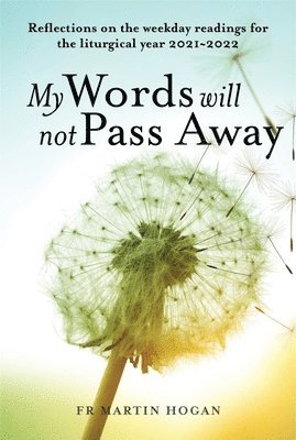 Martin Hogan - My Words Will Not Pass Away, Häftad