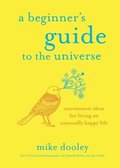 Beginner's Guide to the Universe