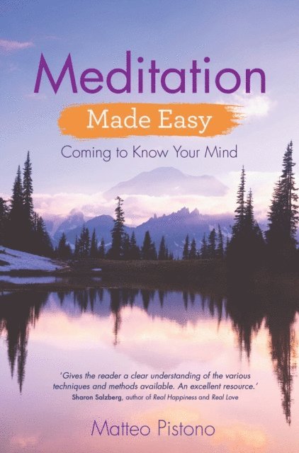 Matteo Pistono - Meditation Made Easy, E-bok