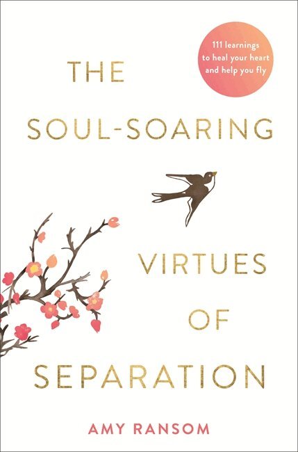 Amy Ransom - Soul-Soaring Virtues of Separation, Häftad