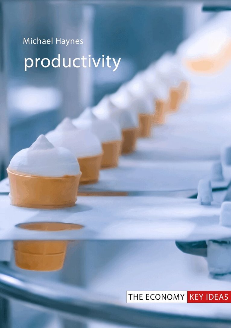 Michael Haynes - Productivity, E-bok
