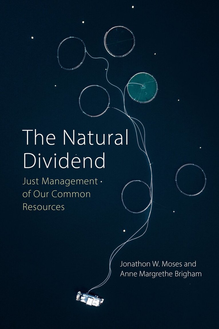 Jonathon W. Moses, Anne Margrethe Brigham - Natural Dividend, E-bok