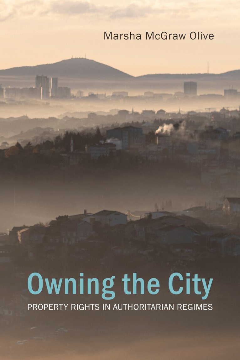 Marsha McGraw Olive - Owning the City, E-bok