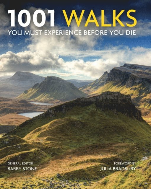 Barry Stone - 1001 Walks, E-bok