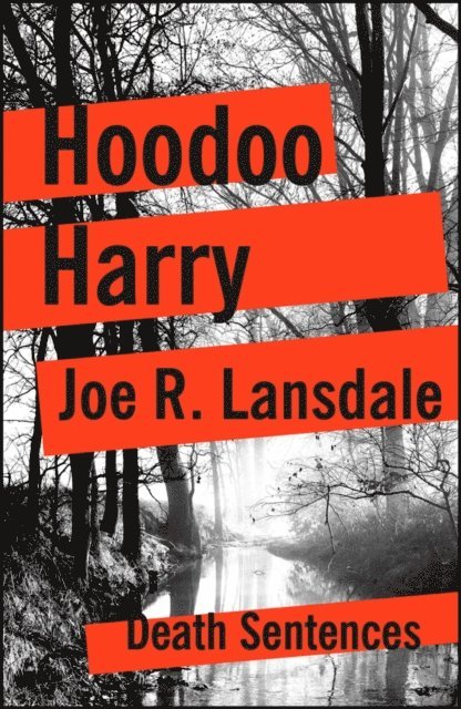 Joe R. Lansdale - Hoodoo Harry, E-bok