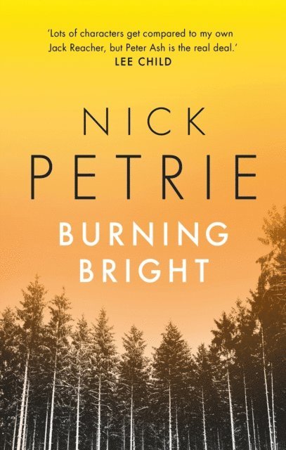 Nick Petrie - Burning Bright, E-bok