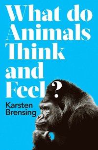 What Do Animals Think and Feel?