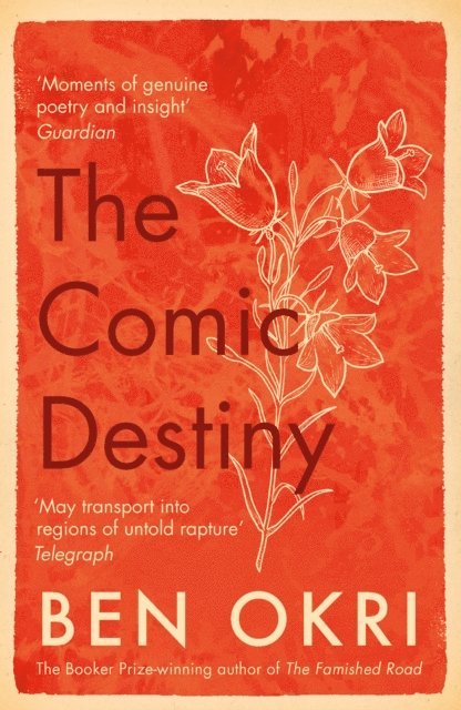 Ben Okri - Comic Destiny, E-bok