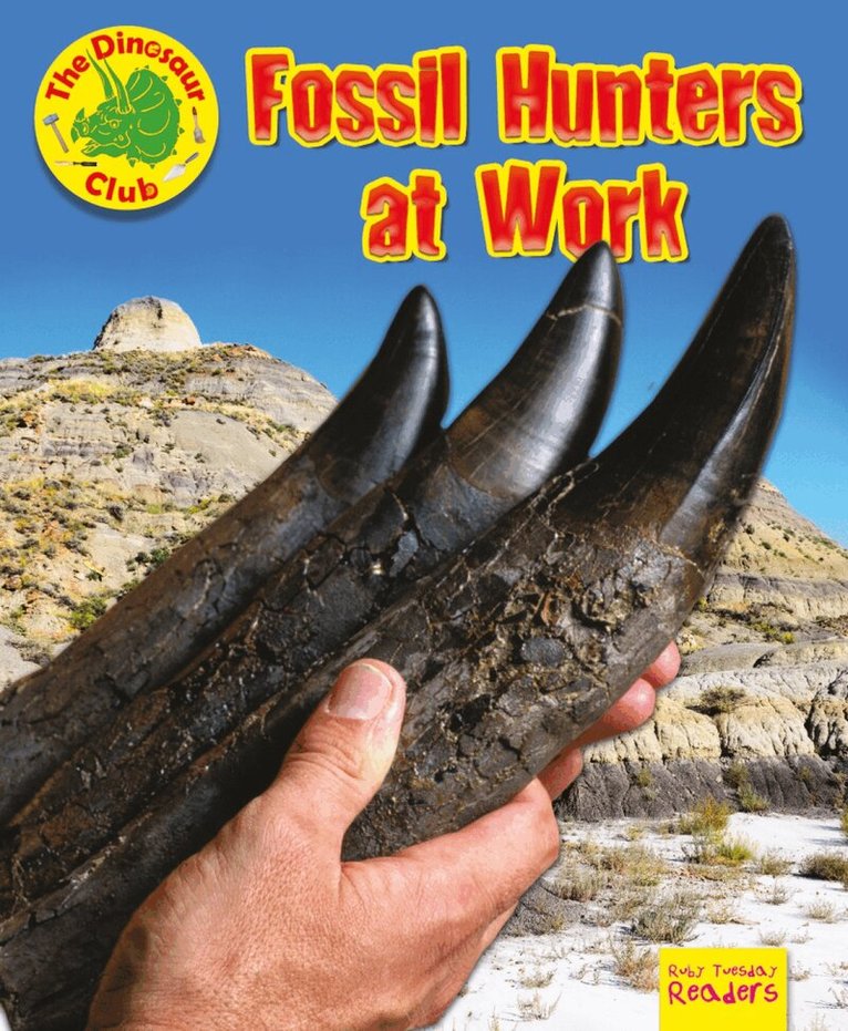 Ruth Owen - Fossil Hunters at Work, Häftad