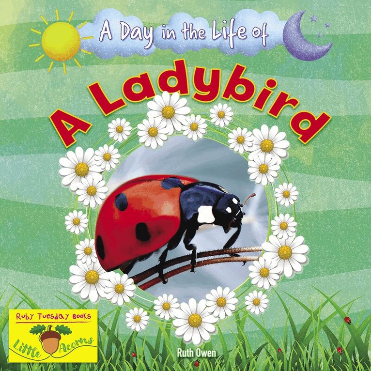 Ruth Owen - Ladybird, Häftad. Tillgänglighet: Lägg i varukorg