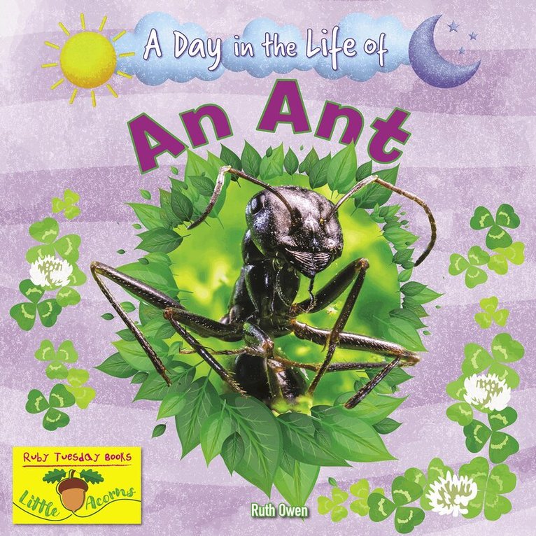 Ruth Owen - Ant, Häftad. Tillgänglighet: Lägg i varukorg