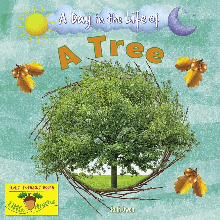 Ruth Owen - Tree, Häftad. Tillgänglighet: Lägg i varukorg