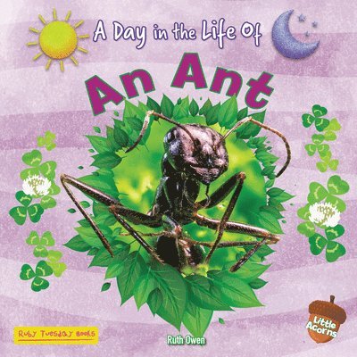 Ruth Owen - An Ant, Häftad