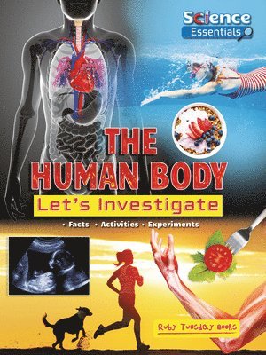 Ruth Owen - The Human Body: Let's Investigate, Häftad
