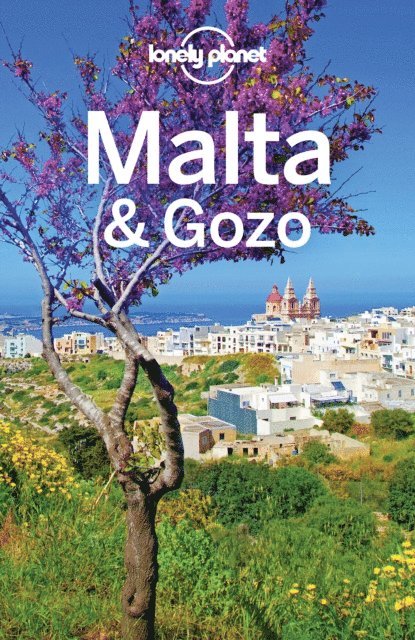 Brett Atkinson - Lonely Planet Malta & Gozo, E-bok