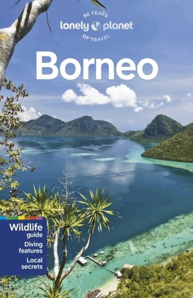 Lonely Planet, Daniel Robinson, Mark Eveleigh, Paul Harding - Lonely Planet Borneo, Häftad