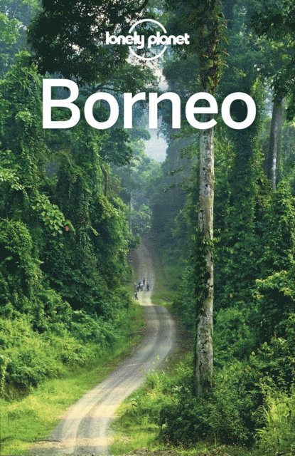 Anna Kaminski, Brett Atkinson, Paul Harding - Lonely Planet Borneo, E-bok