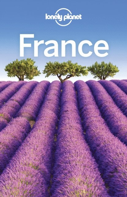 Greg Ward, Regis St Louis, Daniel Robinson, Christopher Pitts, Hugh McNaughtan, Catherine Le Nevez, Anita Isalska, Damian Harper, Gregor Clark, Kerry Christiani, Jean-Bernard Carillet, Oliver Berry, Alexis Averbuck, Nicola Williams - Lonely Planet France, E-bok