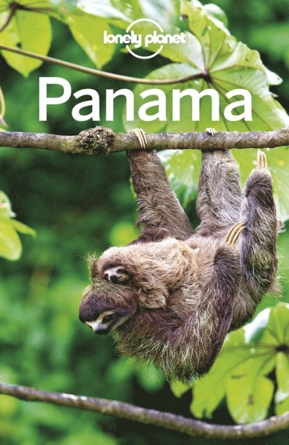 Regis St Louis, Carolyn McCarthy, Steve Fallon - Lonely Planet Panama, E-bok