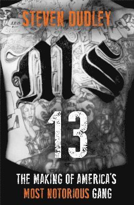 Steven Dudley - MS-13, Häftad