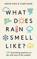What Does Rain Smell Like?