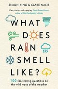 What Does Rain Smell Like?