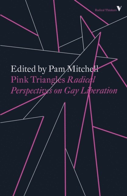 Pam Mitchell - Pink Triangles, E-bok