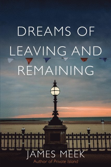 James Meek - Dreams of Leaving and Remaining, E-bok
