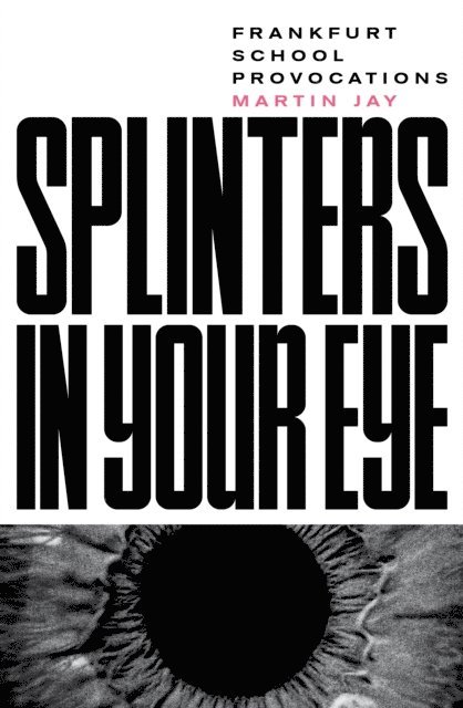 Martin Jay - Splinters in Your Eye, E-bok