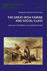 The Great Irish Famine and Social Class