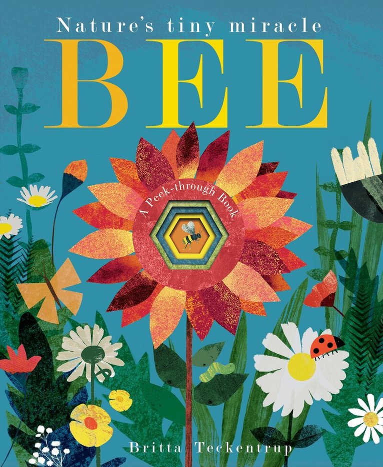 Patricia Hegarty - Bee, Kartonnage