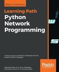 Python Network Programming