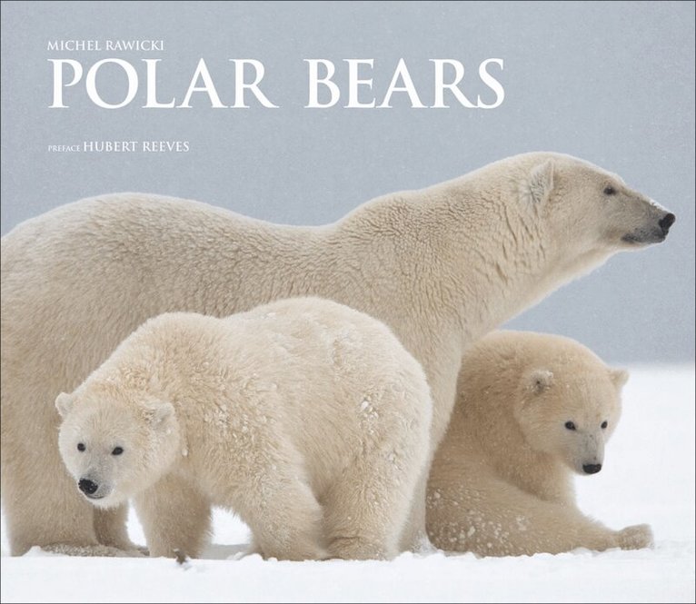 Michel Rawicki - Polar Bears, Inbunden. Tillgänglighet: Lägg i varukorg