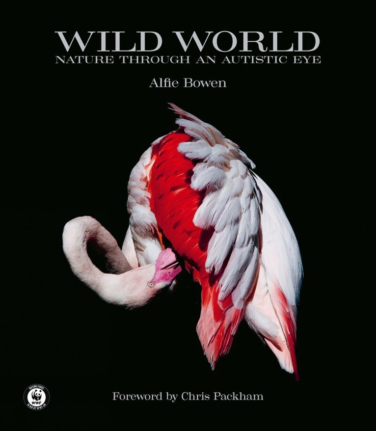 Alfie Bowen - Wild World, Inbunden